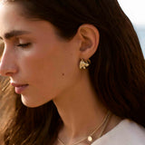 Brincos Tesara (Banhado a Ouro)
