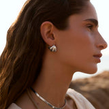 Brincos Tesara