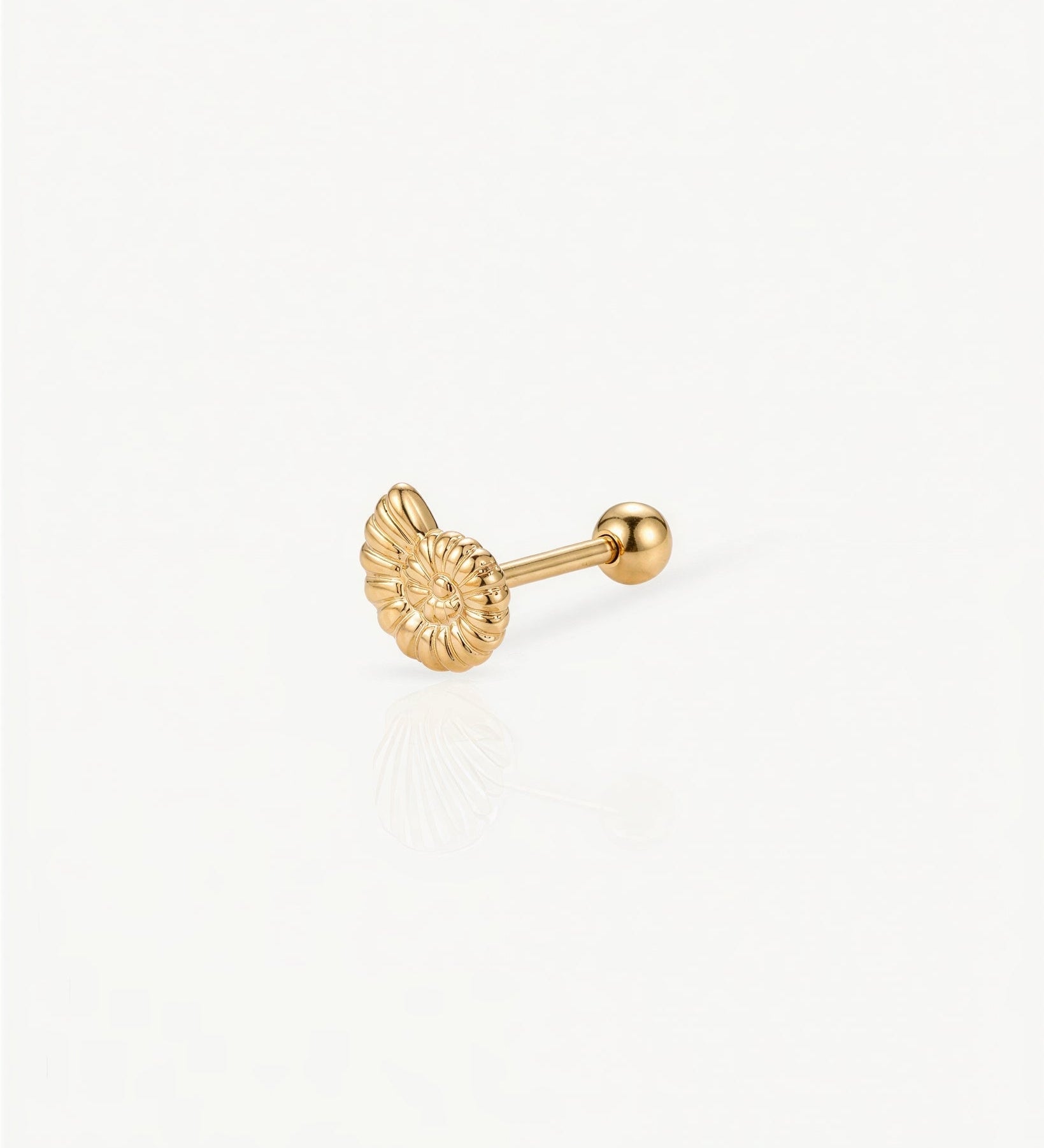 Piercing Concha Espiral
