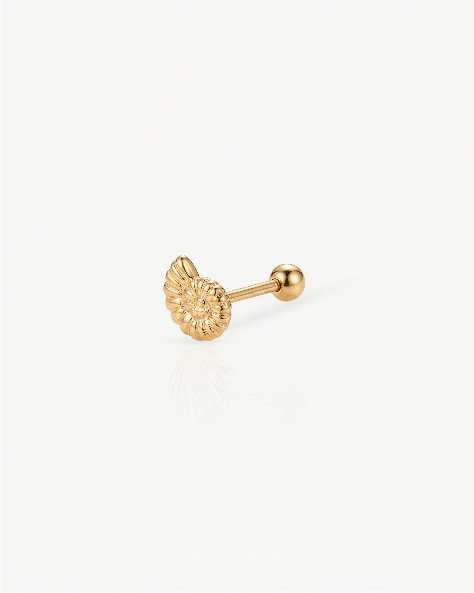 Piercing Concha Espiral