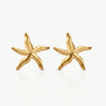 Brincos Estrela
