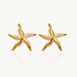 Brincos Estrela