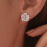Brincos Rosado