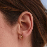 Brincos Ghoda (Banhado a Ouro)